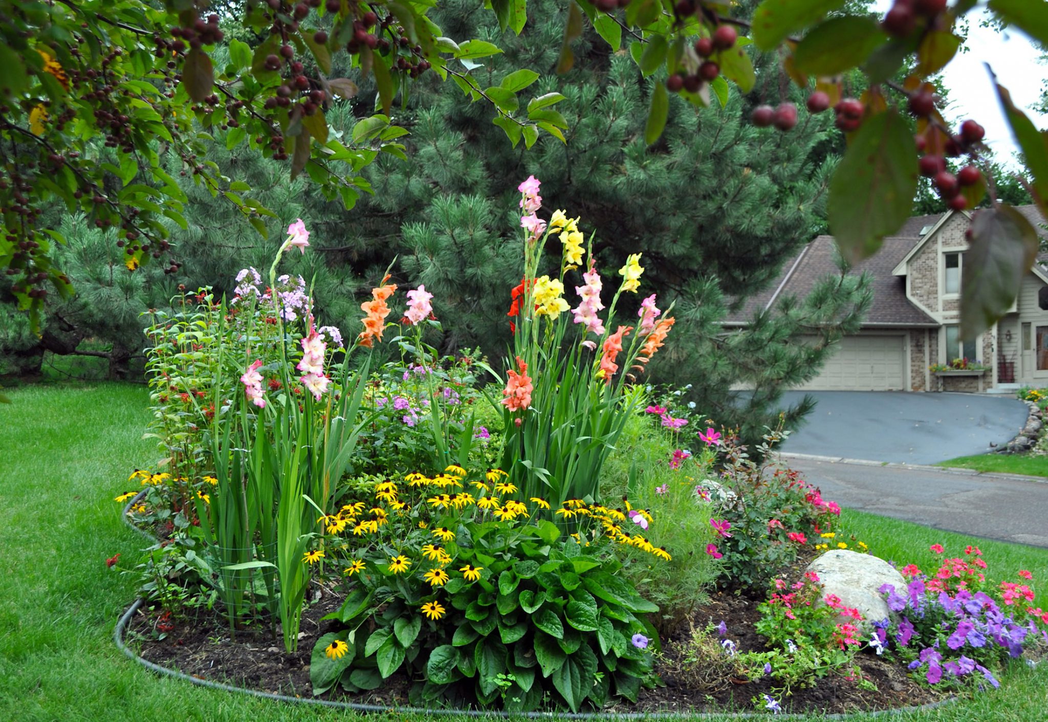 Цветник с лилиями фото на садовом участке